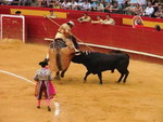 Lễ hội lửa và đấu bò ở Valencia